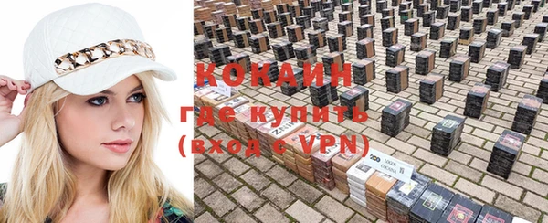 прущие грибы Лагань