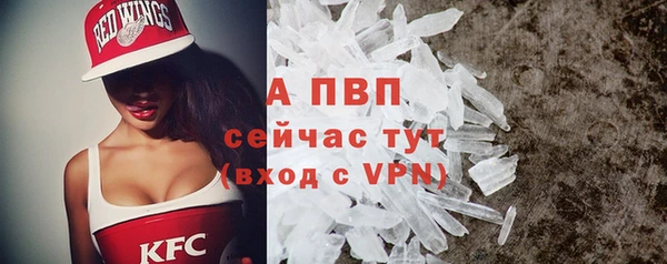 прущие грибы Лагань