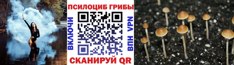 Псилоцибиновые грибы Magic Shrooms  Советск 